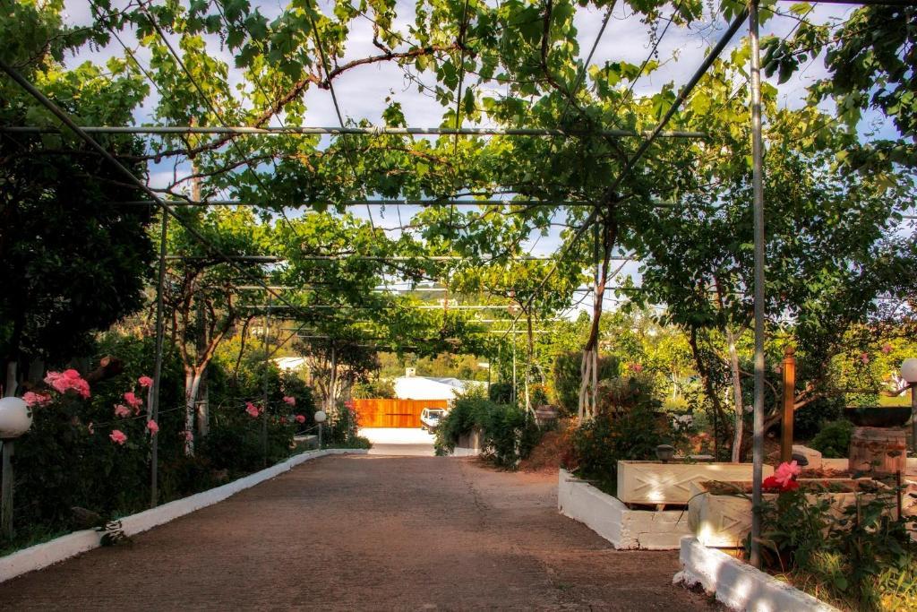 Athineos Apartments 코메넌 외부 사진