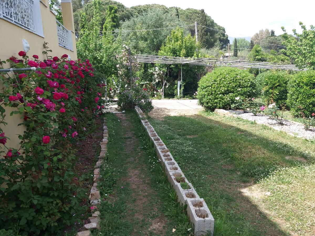 Athineos Apartments 코메넌 외부 사진